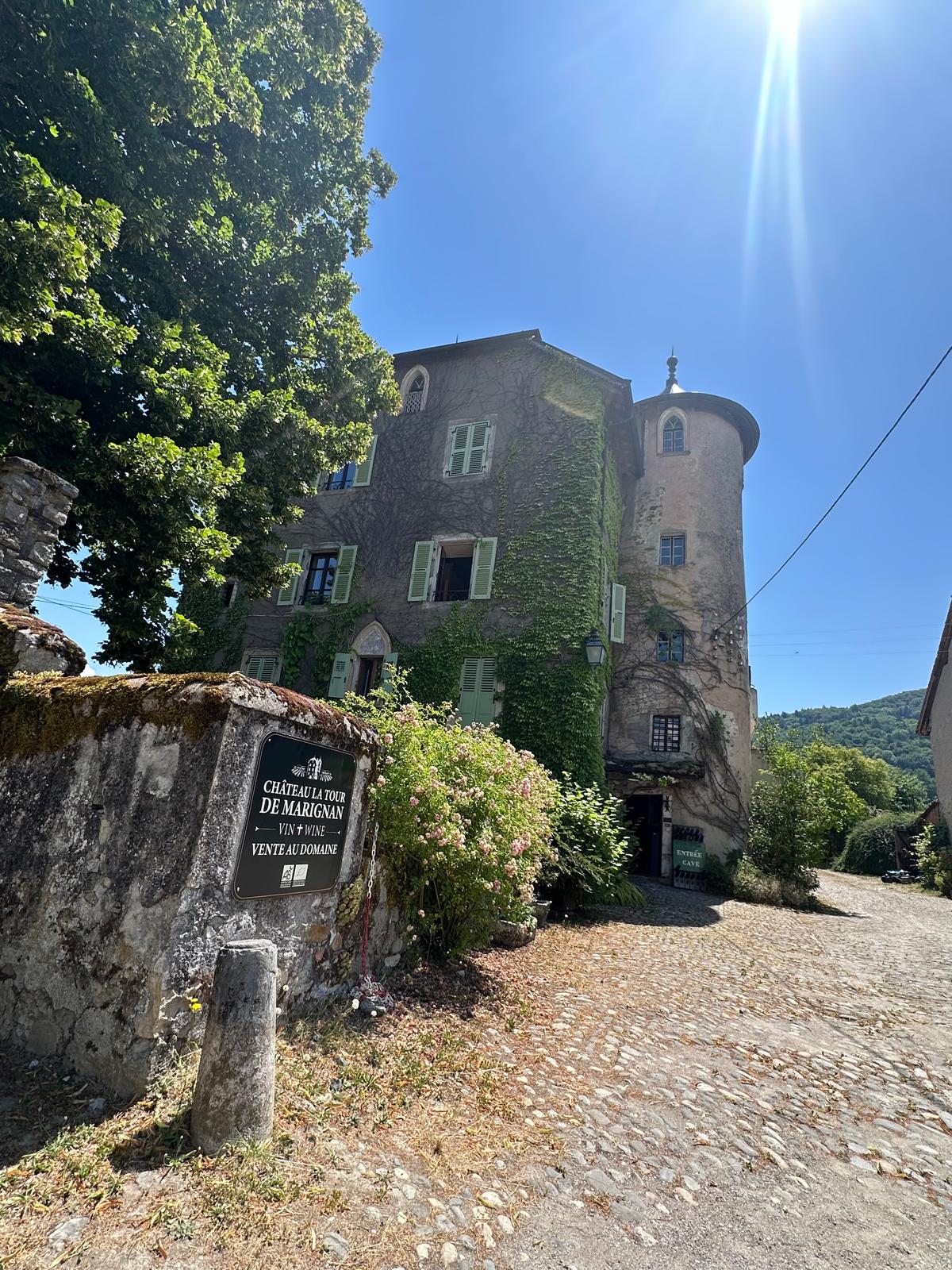 Olivier Canelli dans ses vignes