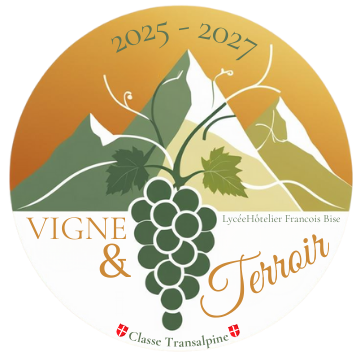 Logo Vigne & Terroir
