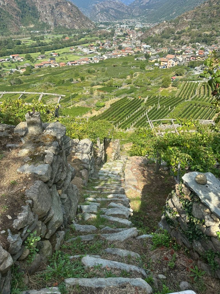 Les escaliers de pierre du Sentiero dei Vigneti à Carema, Piémont
